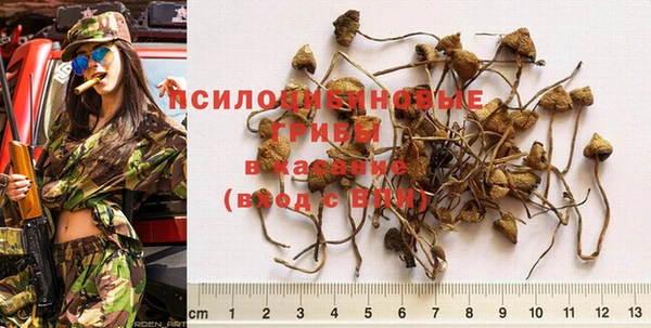 PSILOCYBIN Бугульма