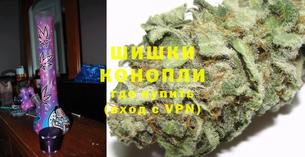 сатива Бронницы
