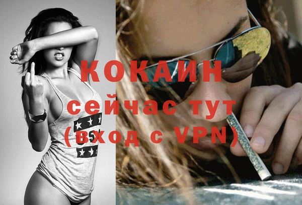 PSILOCYBIN Бугульма