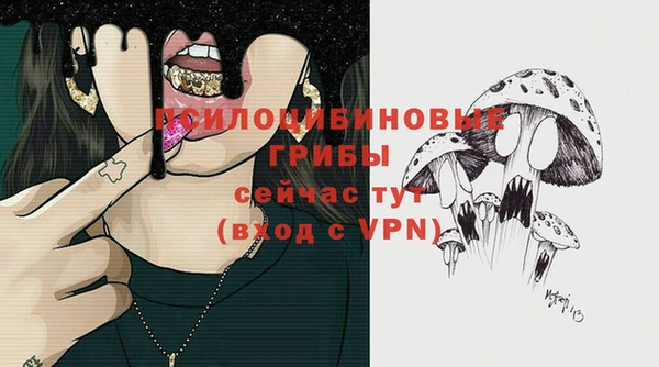 PSILOCYBIN Бугульма
