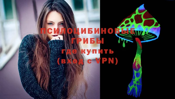 гидра Верхний Тагил