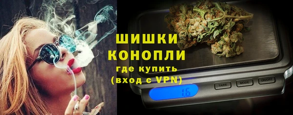сатива Бронницы