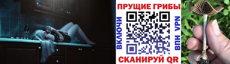 omg tor  купить  цена  Ростов  Псилоцибиновые грибы Psilocybine cubensis 